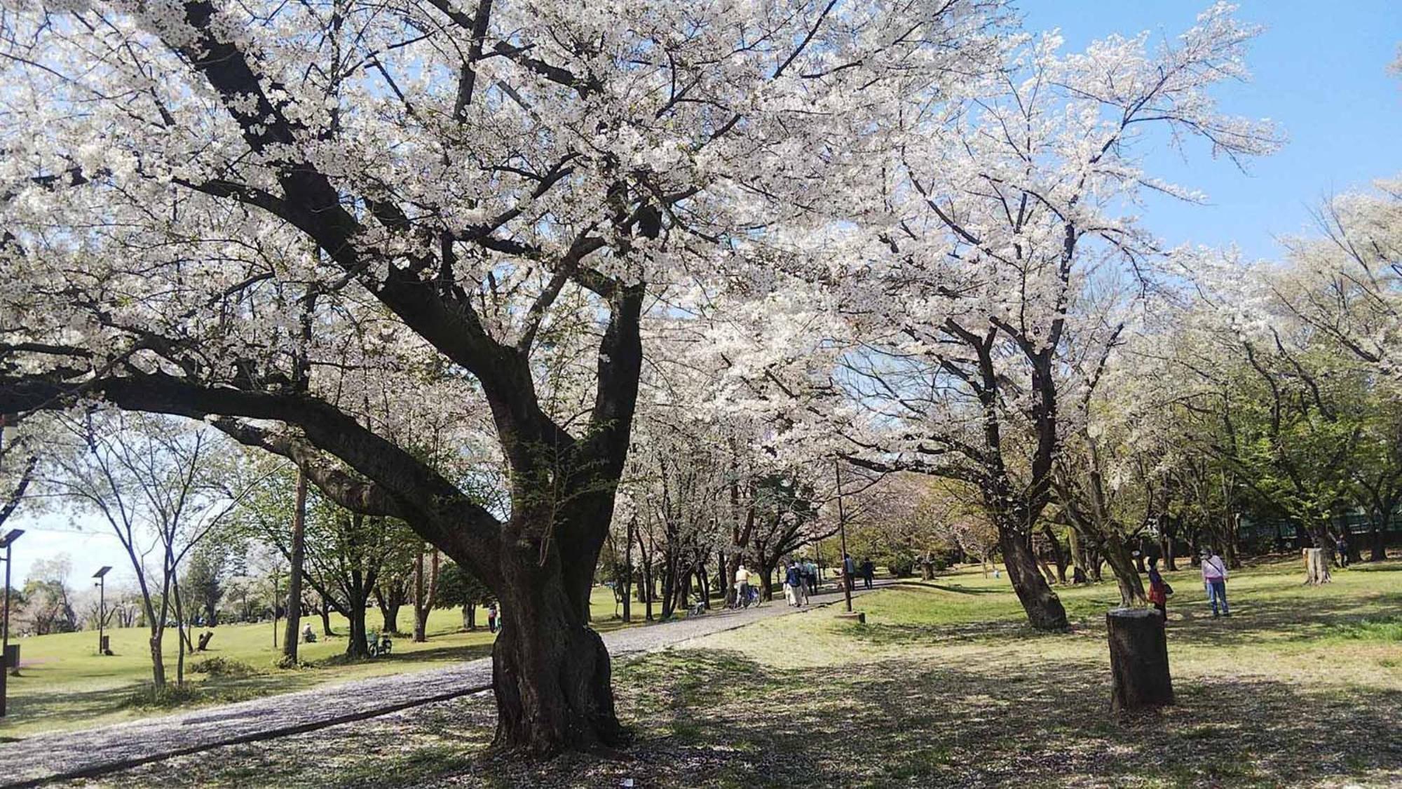 Toyoko Inn Wako-Shi Ekimae Kültér fotó